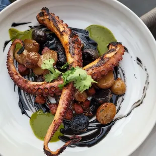 OCTOPUS - chorizo, black hollandaise, marble potatoes, salsa verde