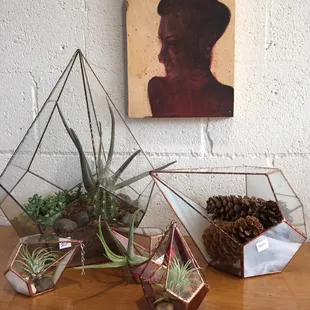 Some different sizes of terrarium made in the shop.