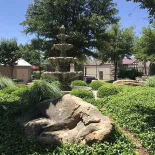 More beautiful landscaping to enjoy while eating