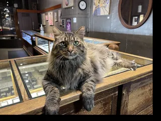 Goldsmith Silversmith