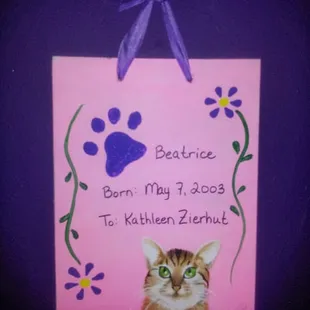 Kid Camps for ages 5 - 13 from 9am - 12 noon! This is the demo for the Zoo Pets Camp!