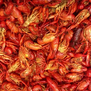 Boiled to perfection! :)