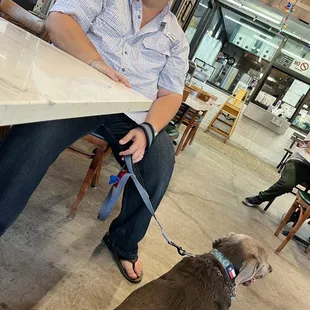 Pet friendly location