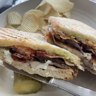Panini Grilled Chicken