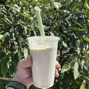 Avocado Milkshake YUM!!!!