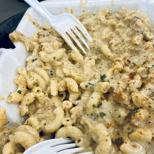 food, pasta, pasta dish