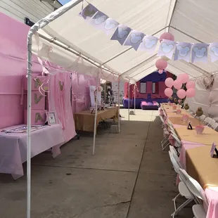 2 Canopies, jumper, pink linen and tables and chairs from Js party rentals!
