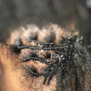 Dreads Twisted using All Natural Products