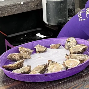a tray of oysters