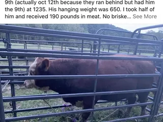 Halsey Meat Processing