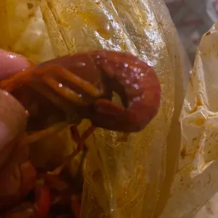 Crawfish