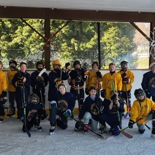 A little pond hockey, anyone.