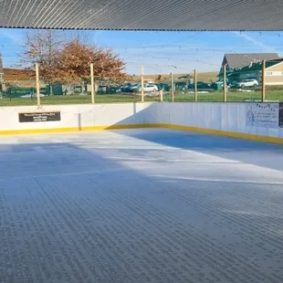 Sunny day in the park.