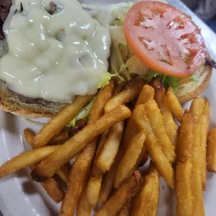 a hamburger and fries