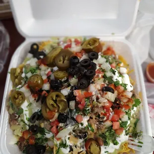 Carne Asada Nachos