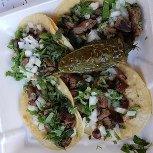 Street tacos (beef) for about $16.