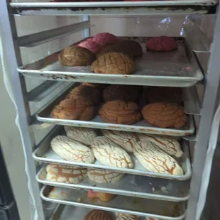 Mexican pastry called Conchas (or shells).  Flavors are Vanilla, chocolate , cinnamon and pumpkin.