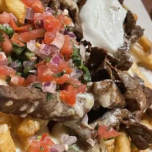 Carne asada fries.