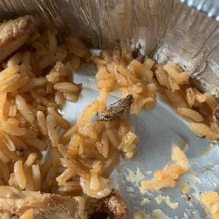 Fried cockroach in pollo de Arroz con Pollo