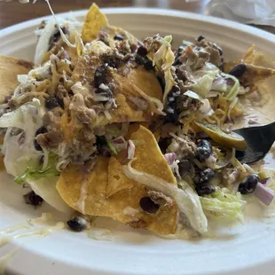 Steak Nachos