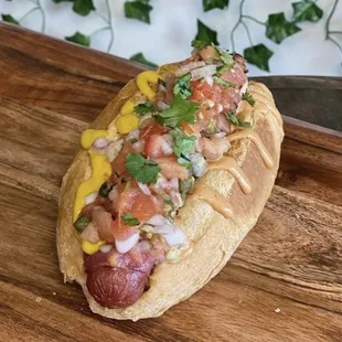 Sonora dog