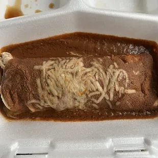 A plump chicken mole enchilada (in dreaded styrofoam). Good mole flavor, with spice, but was better with a side of sour cream.