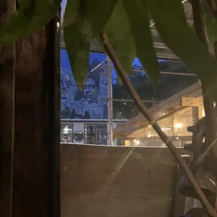 View at the bar under the beautiful large money tree!