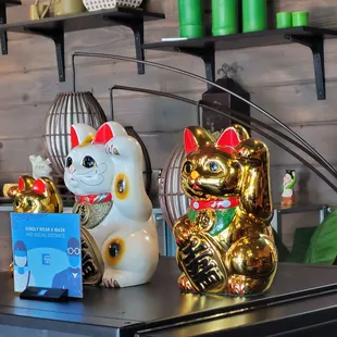 a gold mane cat and a gold mane cat