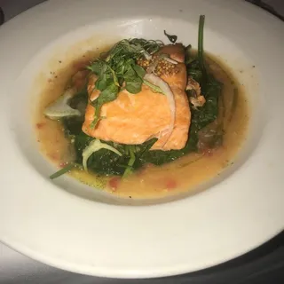 Salmon
