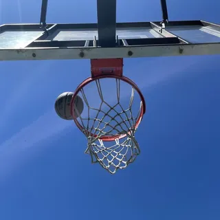 T E.