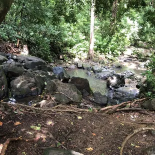 Judd Trail