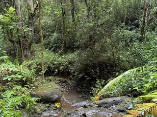 Hau'ula Loop Trail