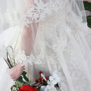 Bridal dress and veil