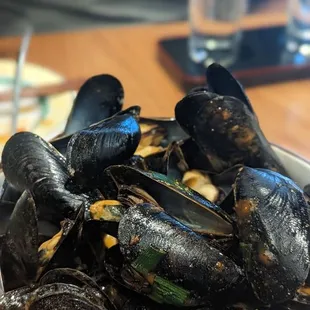 Maine Mussels