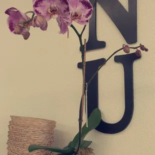 a purple orchid in a white vase