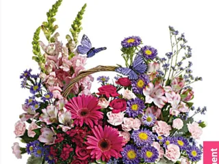 Petals & Blooms Flowers