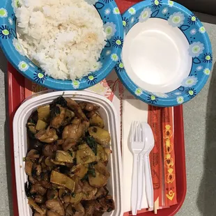 Three cup chicken. As you can see it&apos;s such a huge portion, they had to put the rice in a separate bowl! Lasted us for two meals.
