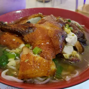 Roast duck noodle soup