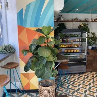 a potted plant on a table