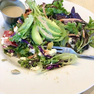 111. Java's Famous Salad