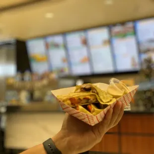 Steak quesadilla