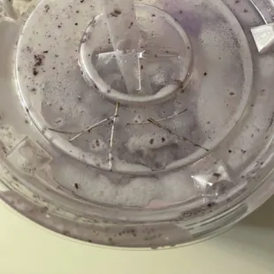 Organic Blueberry &amp; Chia Bluebird