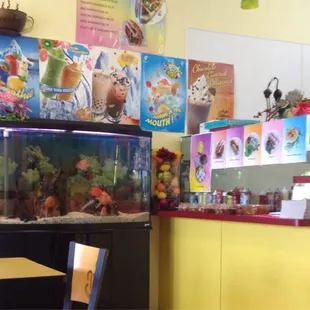 Watch out for stingray in the fish tank.