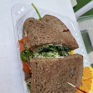 Vegetarian Sandwich