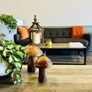 a living room with a couch, coffee table, and mushrooms