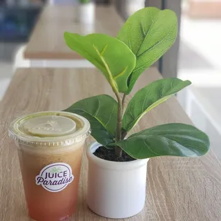 Vitamin Fix Juice