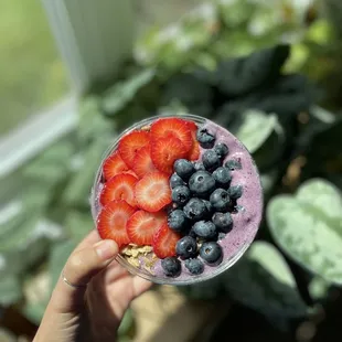 Blueberry Bowl  IG: Cereus_eats