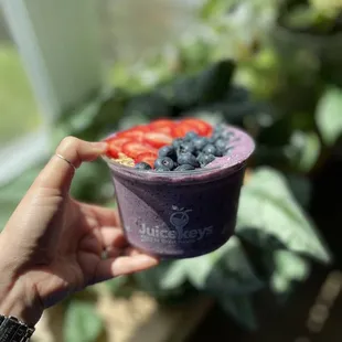 Blueberry Bowl IG: Cereus_eats