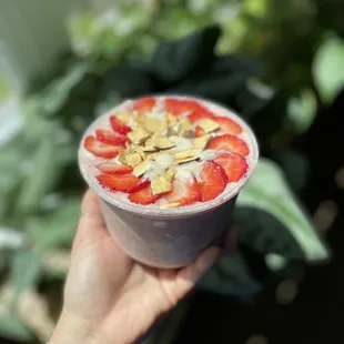 Strawberry Shortcake Bowl IG: Cereus_eats