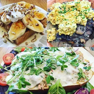Cranberry Jackfruit Tuna Melt